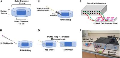 In vitro biocompatibility evaluation of functional electrically stimulating microelectrodes on primary glia